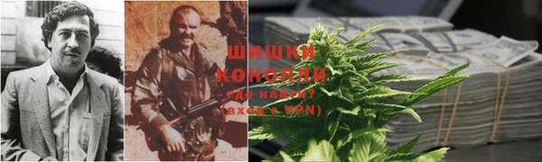мет Алексин