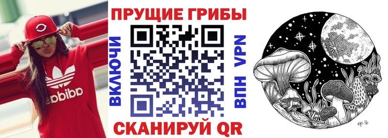 МЕГА маркетплейс  Туймазы  Псилоцибиновые грибы MAGIC MUSHROOMS  сколько стоит 